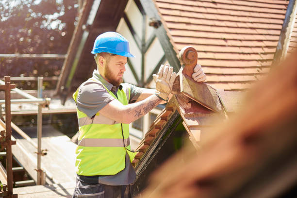 Roof Waterproofing Services in Toast, NC