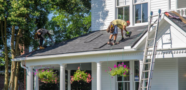 Residential Roof Replacement in Toast, NC